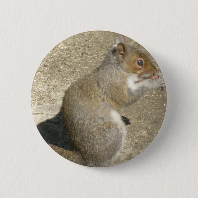 Squirrel Hungry Horatio Button (Front)