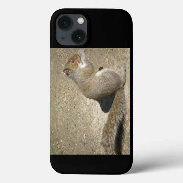 Squirrel Hungry Horatio Case-Mate iPhone Case (Back)