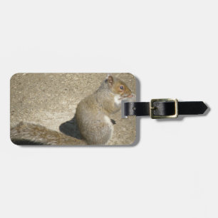 Squirrel Hungry Horatio Custom Luggage Tag