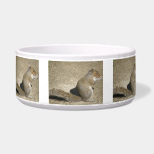 Squirrel Hungry Horatio Dog Bowl