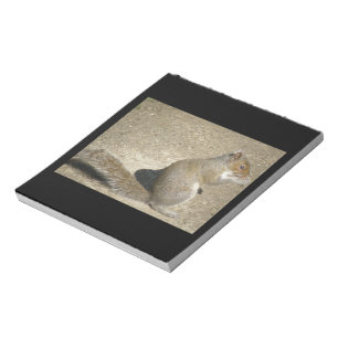 Squirrel Hungry Horatio Notepad