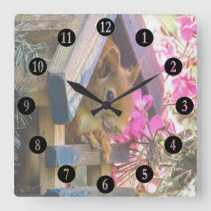 Squirrel In A Birdhouse Square Wall Clock