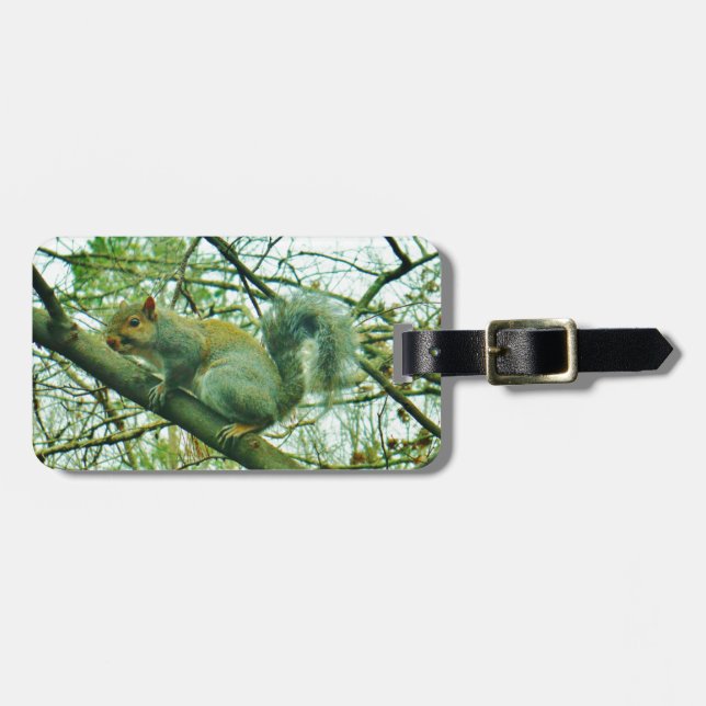 Squirrel in a Light Blue Mist Luggage Tag (Front Horizontal)