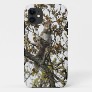 Squirrel in a Tree Case-Mate iPhone Case