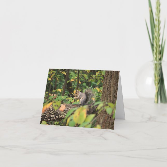 Squirrel in Autumn Notecard (Front)