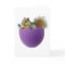 Squirrel in Eggshell Card