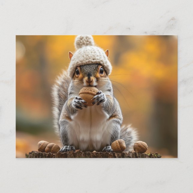 Squirrel in Knit Hat Holding Nut Postcard (Front)