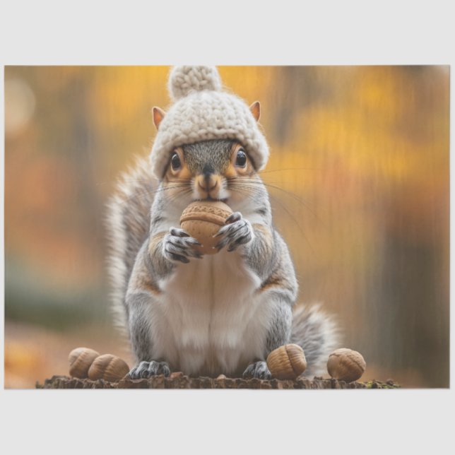 Squirrel in Knit Hat Holding Nut Tissue Paper (Front)