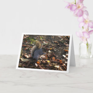 Squirrel in Leaves Card