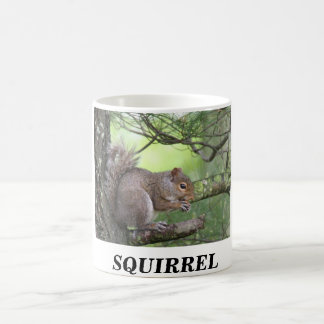 SQUIRREL IN PINE TREE EATING NUT COFFEE MUG