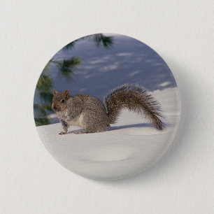 Squirrel in Snow 6 Cm Round Badge