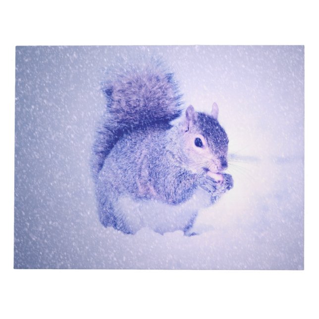 Squirrel in snow notepad (Front)