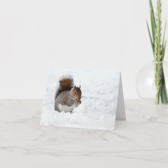 Squirrel in Snow with Berry Holiday Card (Front)
