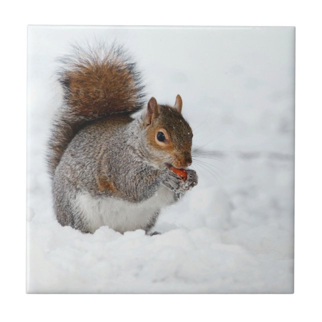 Squirrel in Snow with Berry Tile (Front)