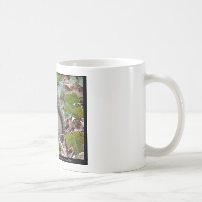 Squirrel In The Ivy - Love Gifts & Apparel Coffee Mug (Right)