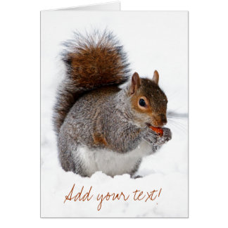 Squirrel in the Snow