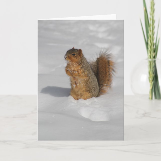 Squirrel in the snow greeting card (Front)