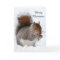 Squirrel in the Snow