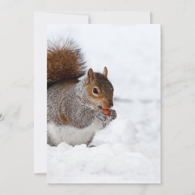 Squirrel in the Winter (Front)