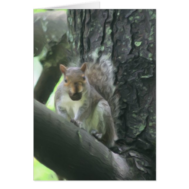 Squirrel In Tree Animal Art Card (Front)