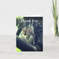 Squirrel In Tree Art Thank You Card