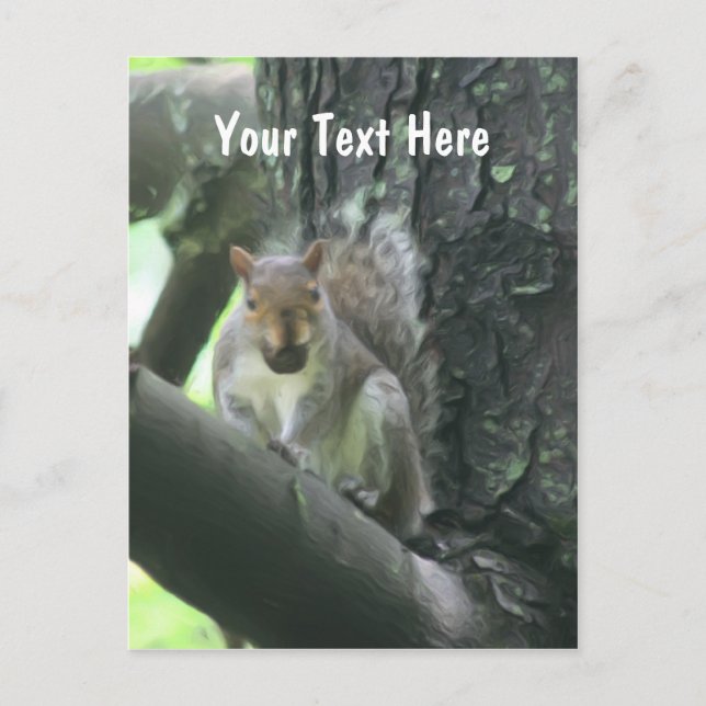 Squirrel In Tree Customisable Postcard (Front)
