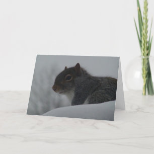 Squirrel in winter card