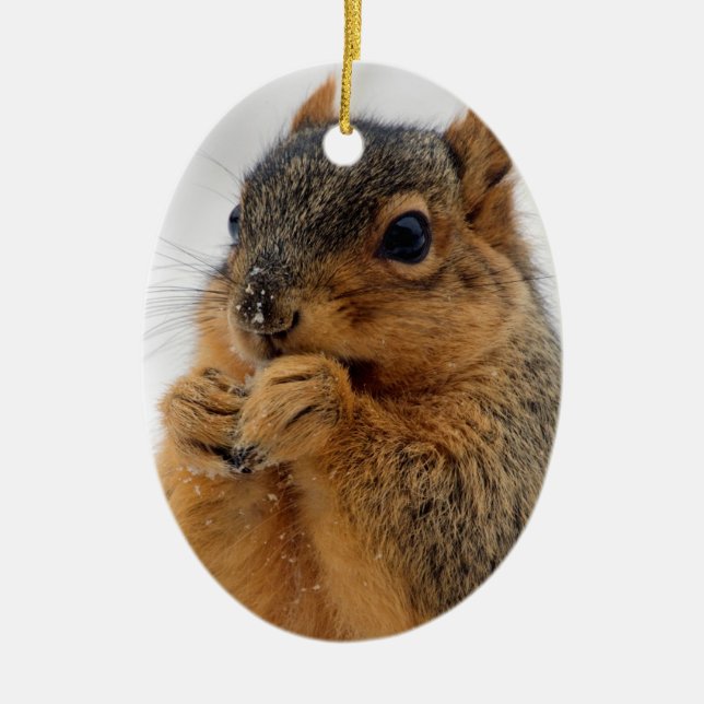 Squirrel in Wonder Ceramic Tree Decoration (Front)
