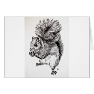 Squirrel Ink Illustration