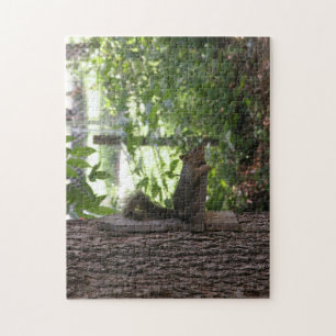 Squirrel Jigsaw Puzzle