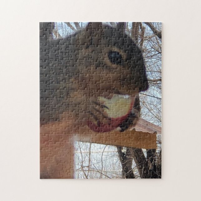 Squirrel  jigsaw puzzle (Vertical)