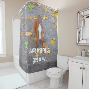 squirrel Just trying to get a nut Shower Curtain