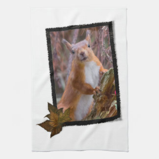 Squirrel Kitchen towel