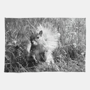 squirrel kitchen towel