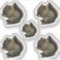 Squirrel Kitten Stickers