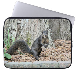 Squirrel laptop sleeve