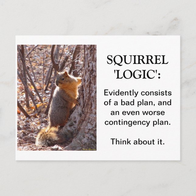 Squirrel Logic Postcard (Front)