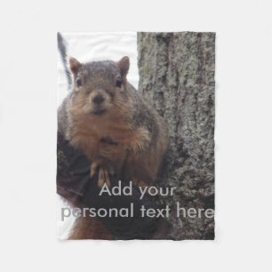 Squirrel looking at your blanket