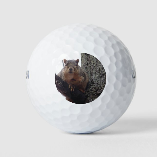 Squirrel looking at your golf ball (Front)