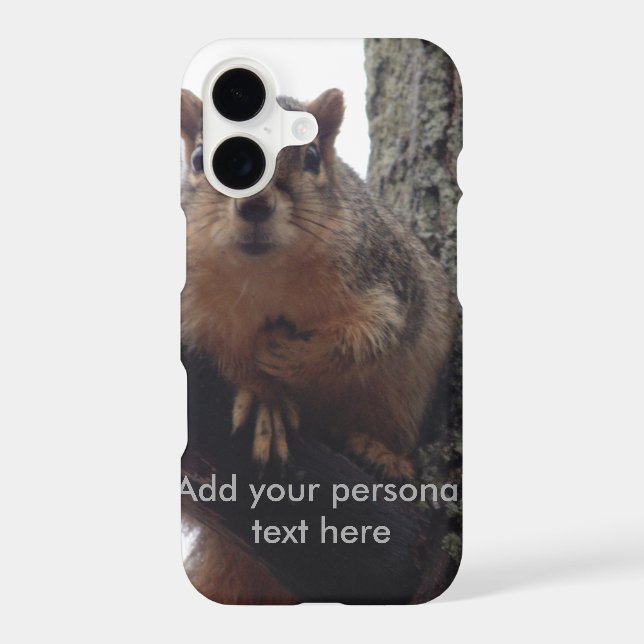 Squirrel looking at your phone case (Back)
