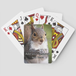 Squirrel looking at your playing cards