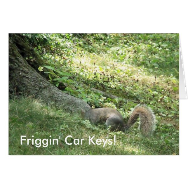 Squirrel looking for car keys (Front Horizontal)