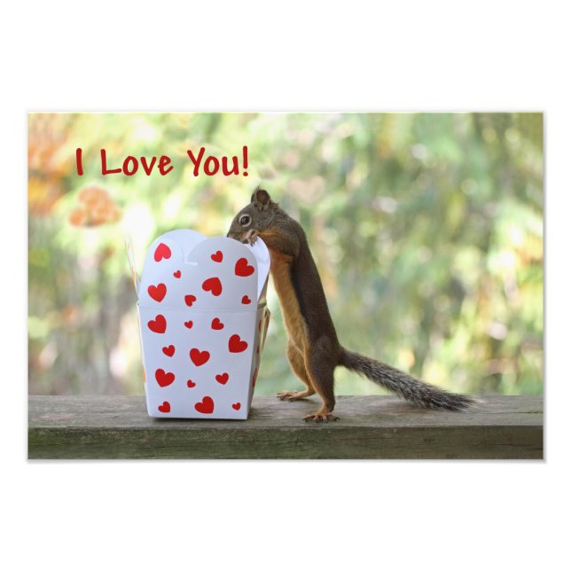 Squirrel Looking Inside Heart Box, "I Love You" Photo Print (Front)