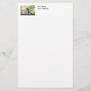 Squirrel Looking Inside Heart Box Stationery