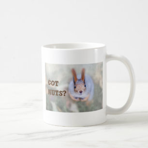 Squirrel looks at you from the bottom up coffee mug