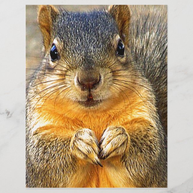Squirrel Love_ (Front)