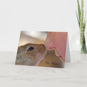 Squirrel Love Be Mine Valentine's Day Holiday Card