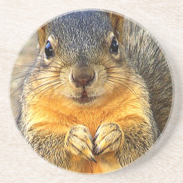 Squirrel Love_ Coaster (Front)