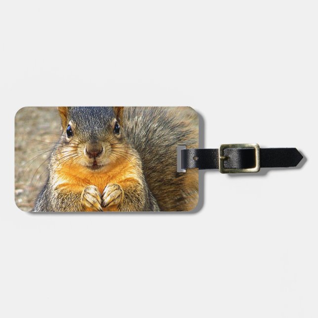 Squirrel Love_ Luggage Tag (Front Horizontal)