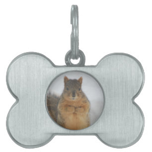 Squirrel Love Pet Name Tag